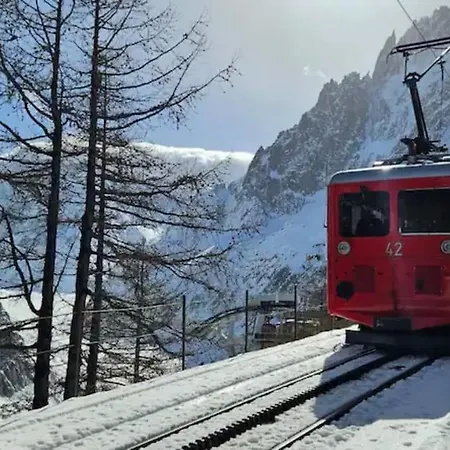 Duplex 4 Pers Vue Montblanc , Grands Montets 霞慕尼