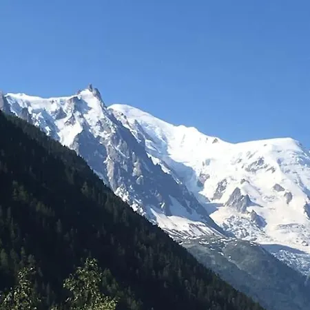 Duplex 4 Pers Vue Montblanc , Grands Montets * 霞慕尼