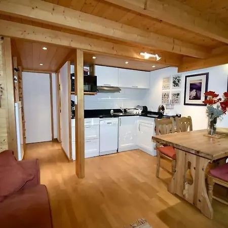 Duplex 4 Personnes Apartment Chamonix