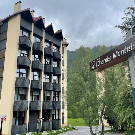 Duplex 4 Pers Vue Montblanc , Grands Montets * 霞慕尼