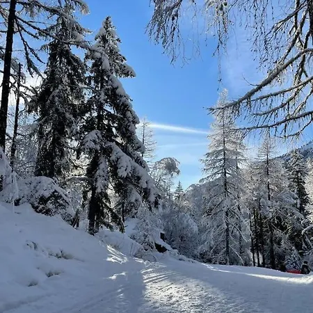 Duplex 4 Pers Vue Montblanc , Grands Montets 公寓 霞慕尼