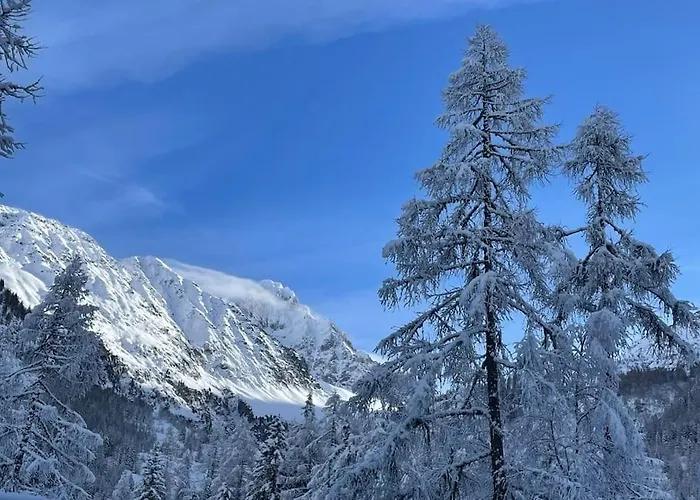 Duplex 4 Pers Vue Montblanc , Grands Montets *